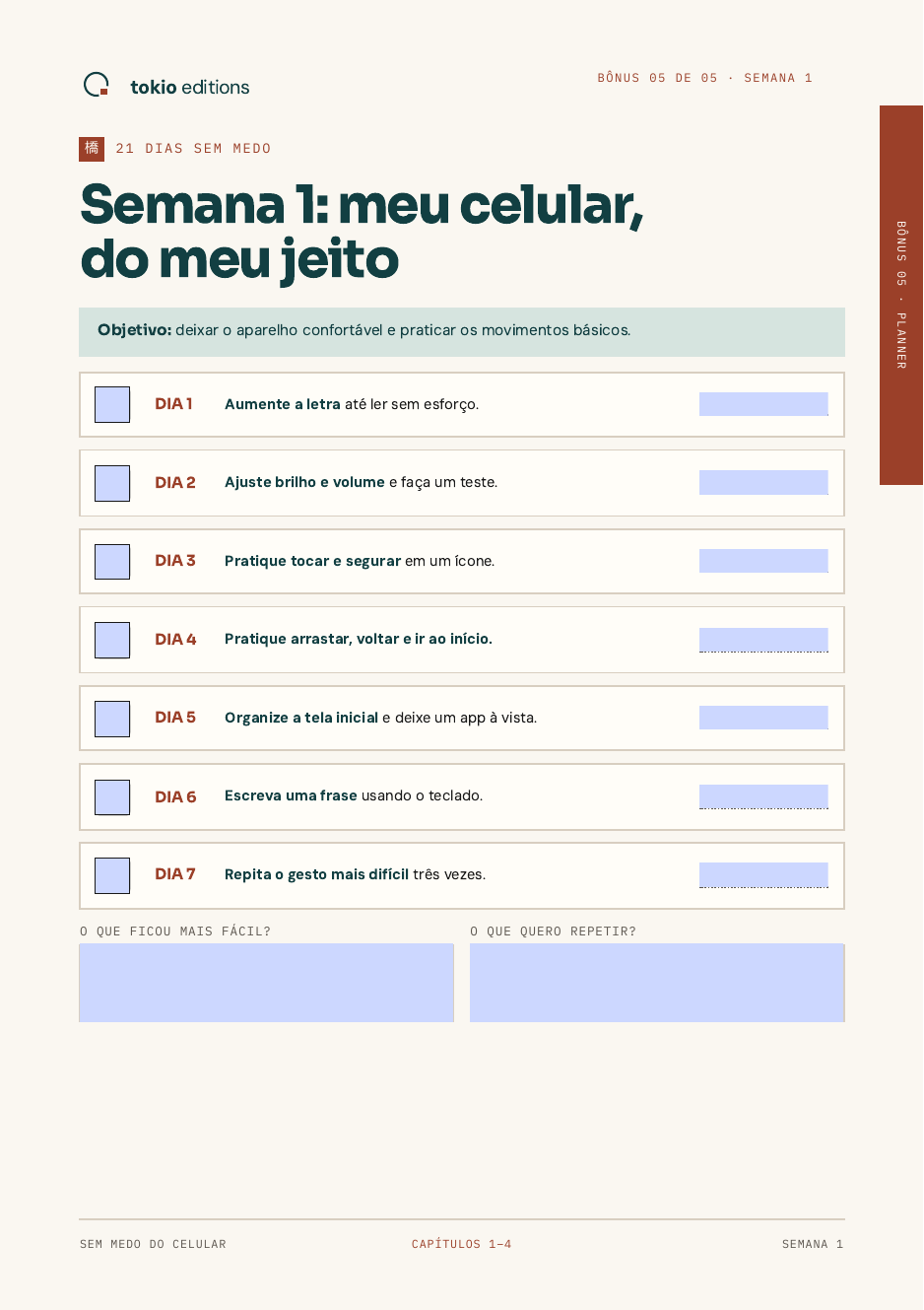 Página real do bônus Planner 21 dias sem medo